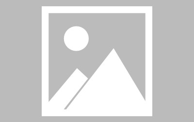 关于窗口期夏洛特黄蜂调整名单以备德甲；造点机会环节打磨；底气十足；年轻球员得到机会的信息-九游官网